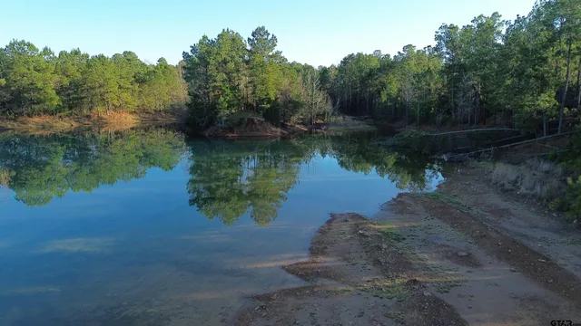 a view of a lake next to a forest