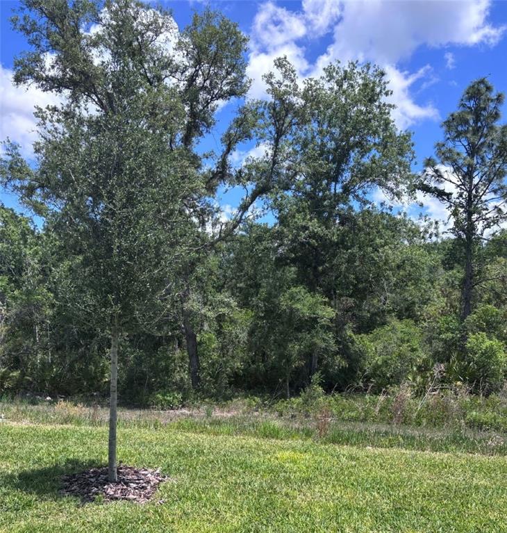 13630 Cyn Rdg Road Spring Hill, FL 34610 - Photo 17 of 32