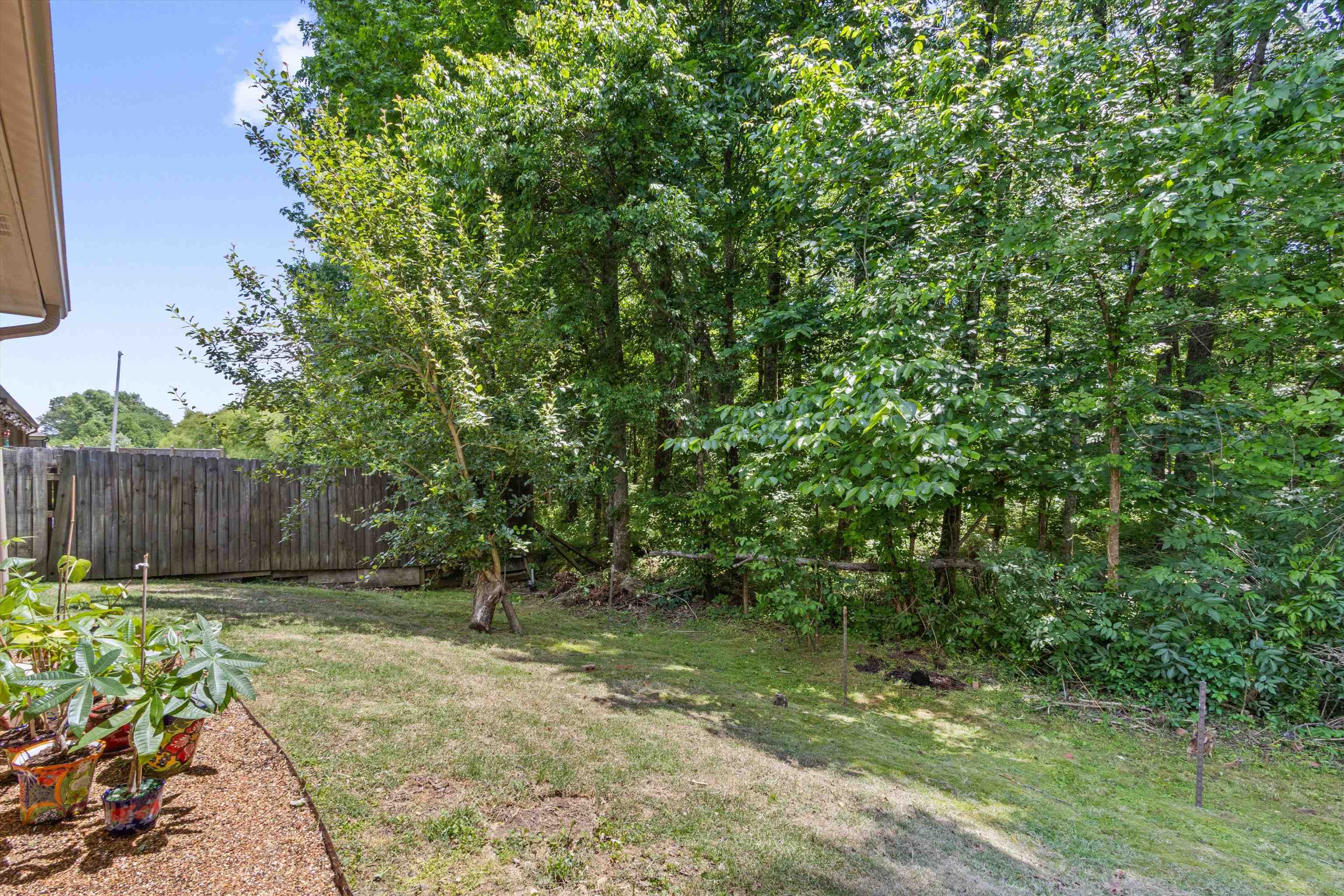 10475 Juneau Way Collierville, TN 38017 - Photo 30 of 38