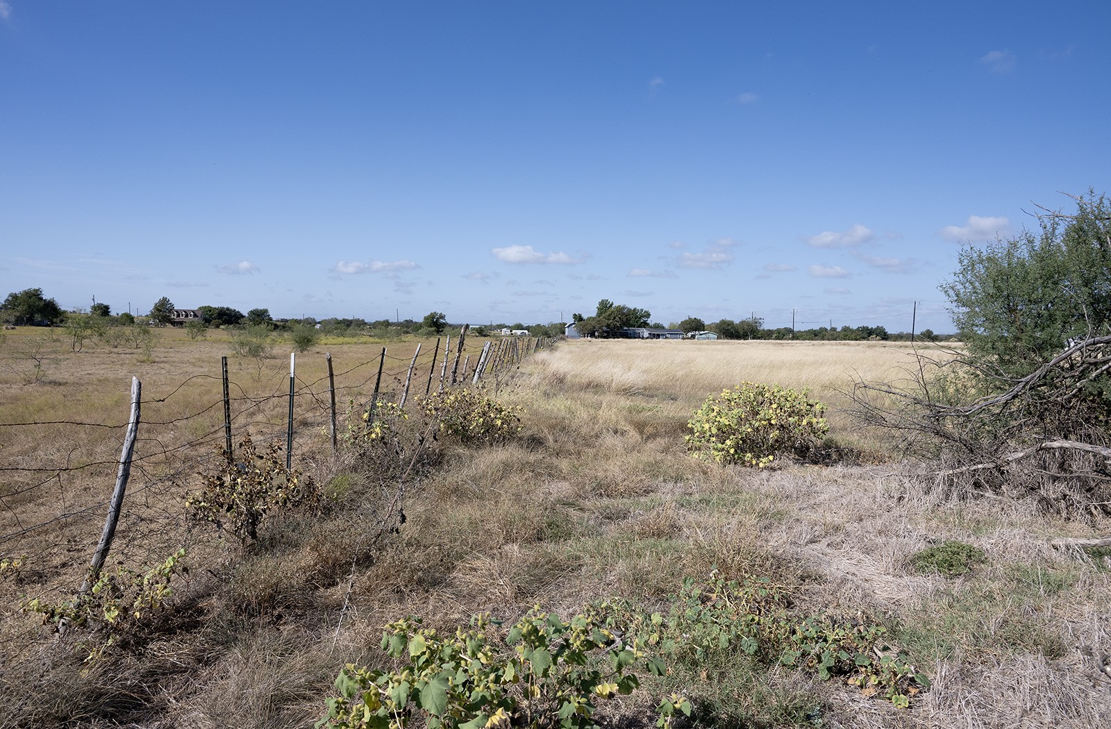 1841 County Road 305 Jarrell, TX 76537 - Photo 4 of 7 A view of the rear fence on the 8.424 acres taken from other end of property.