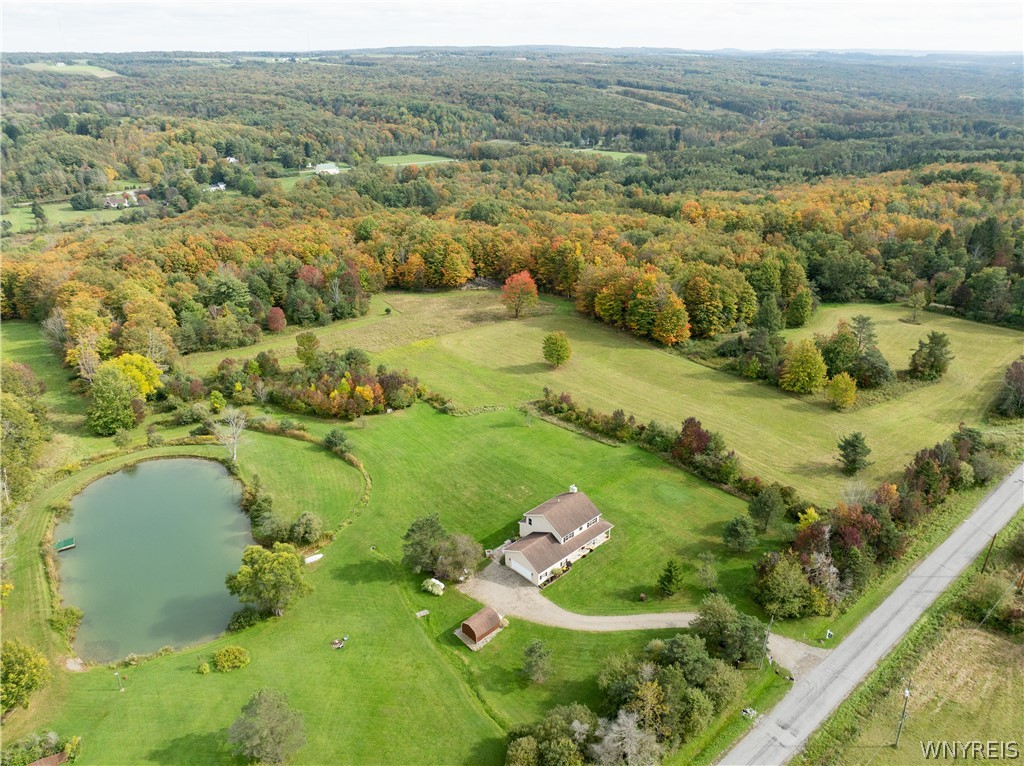 8815 Frantz Road Colden, NY 14033 - Photo 49 of 50 Gallery Image 49