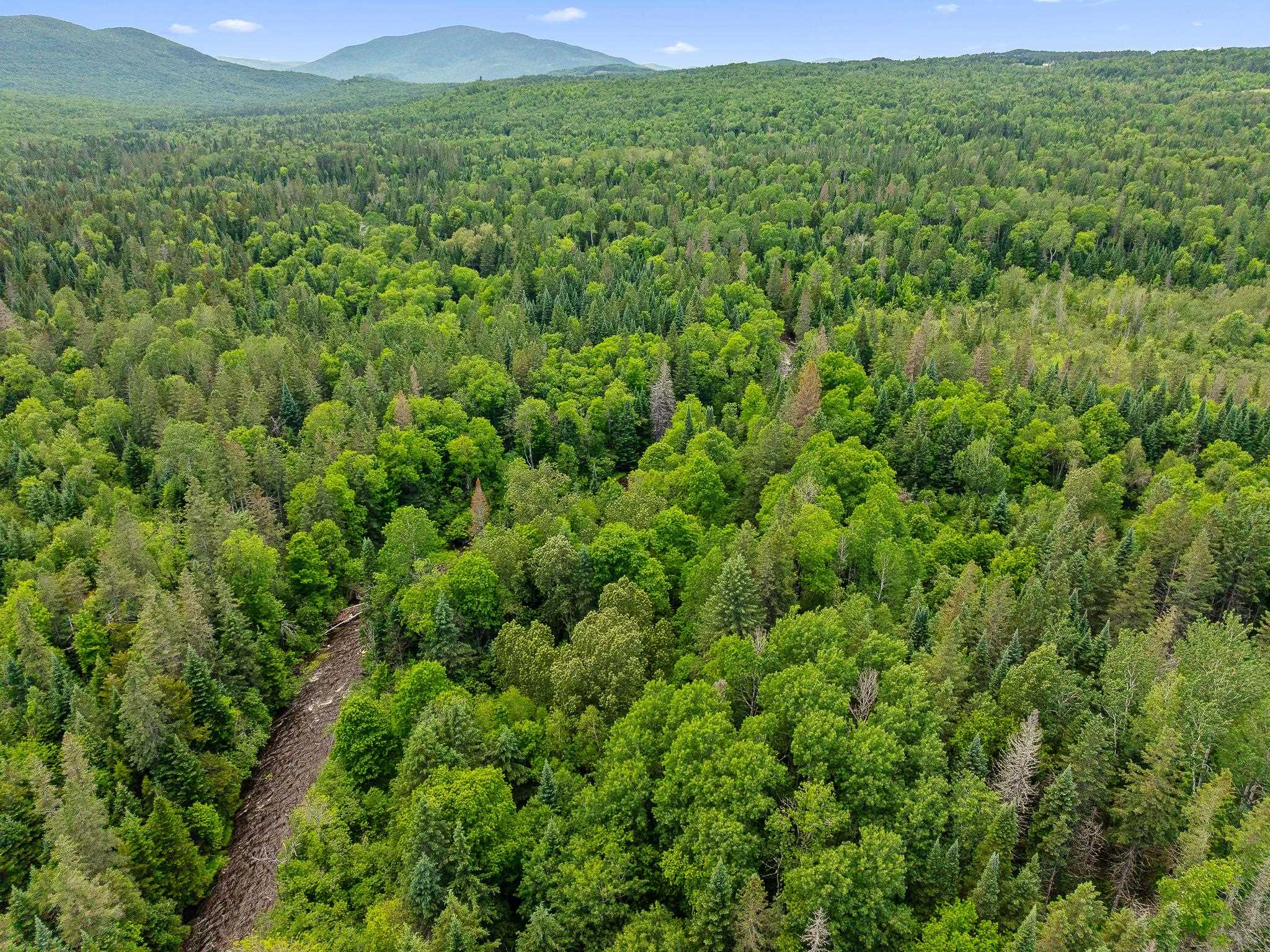 354 Gray Road Columbia, NH 03576 - Photo 14 of 37
