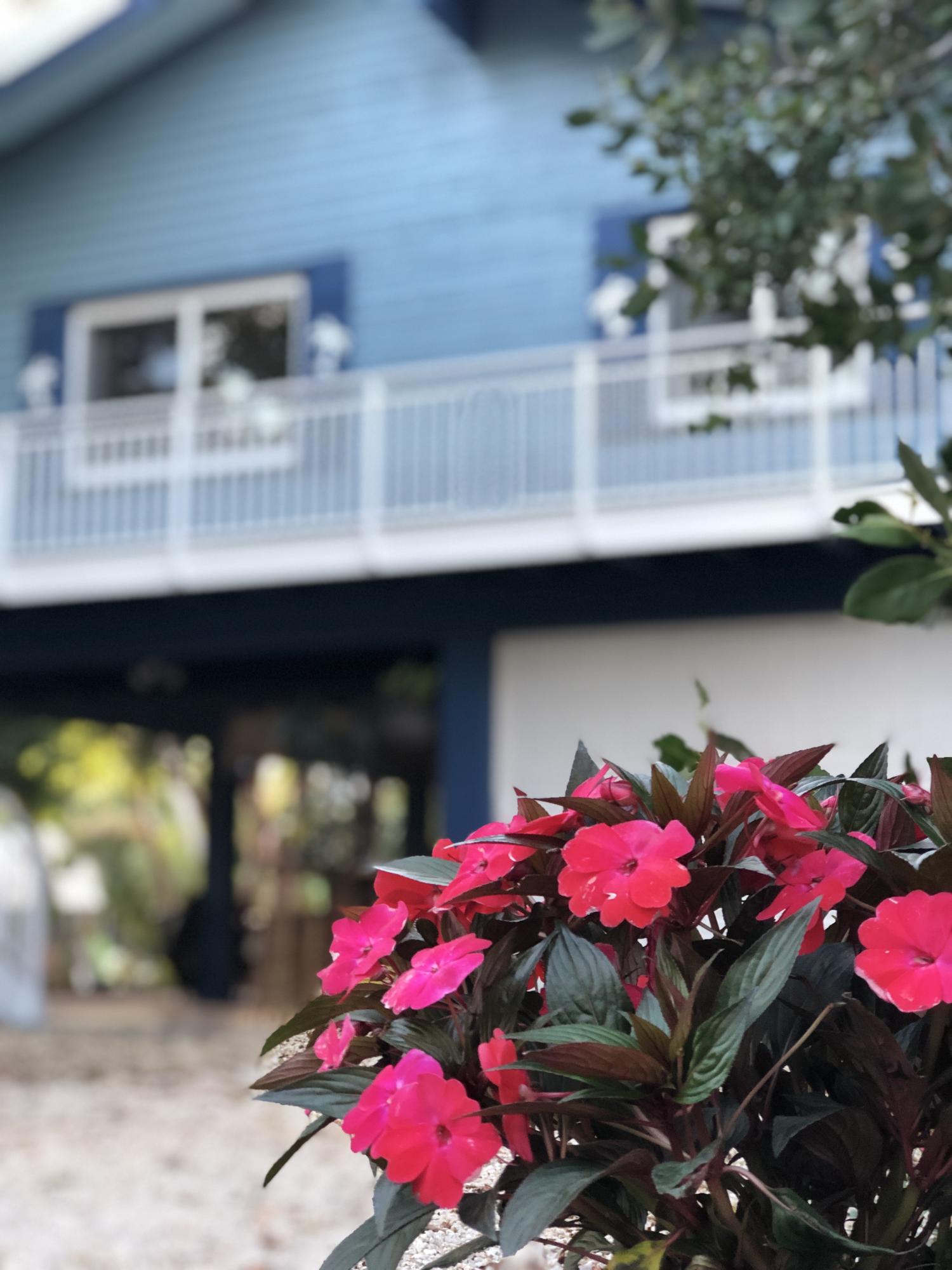 216 Coral Road Islamorada, FL 33036 - Photo 26 of 34 front house