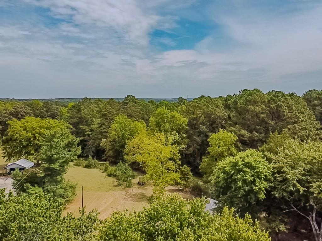 1142 Harbins Road Dacula, GA 30019 - Photo 13 of 18 a view of a lake