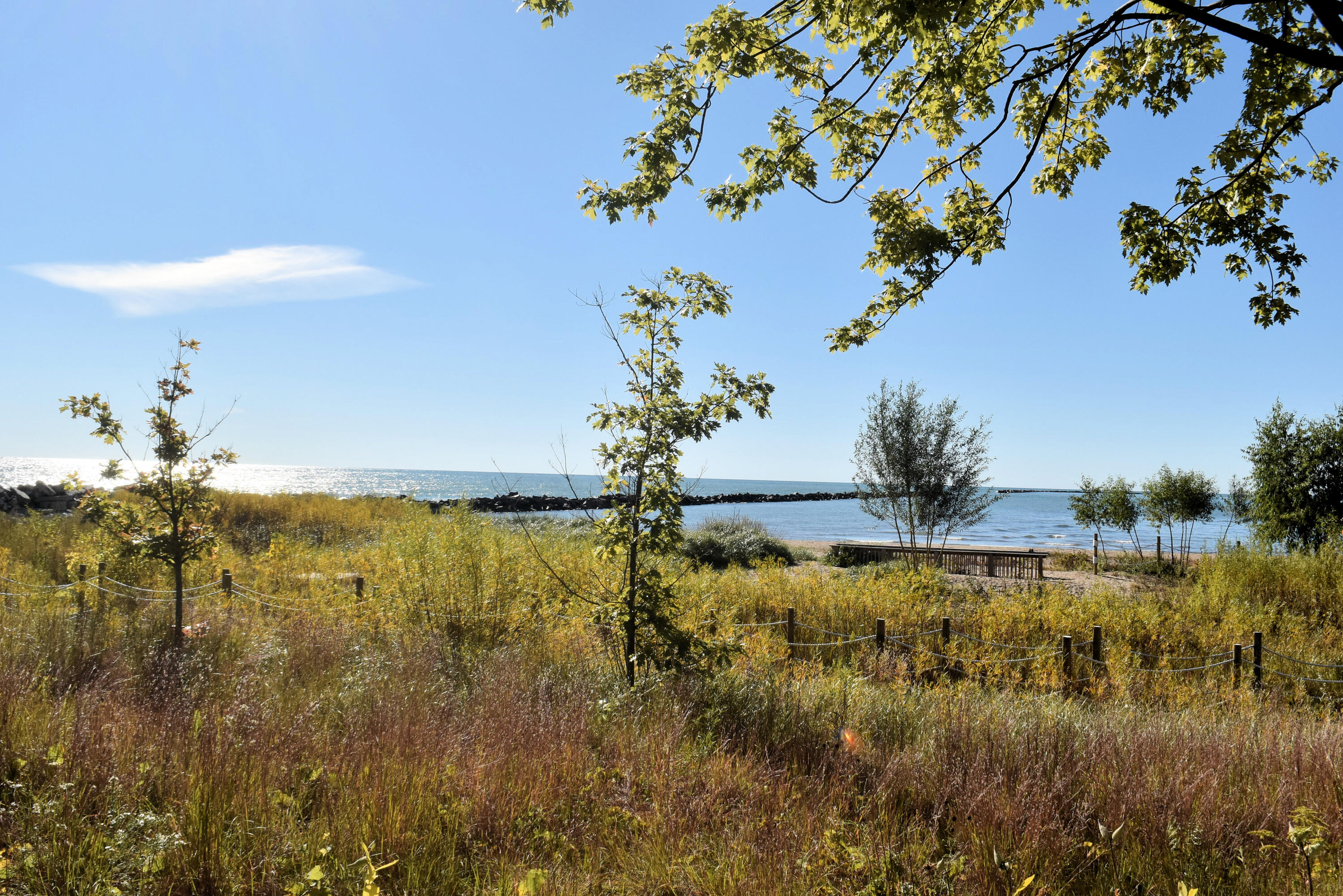 111 11th Street, Unit 1CN Racine, WI 53403 - Photo 48 of 49 Park