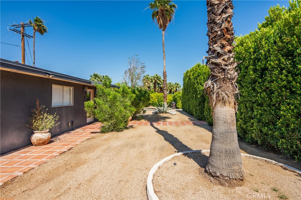250 West Cortez Road Palm Springs, CA 92262 - Photo 5 of 54 a view of a backyard of a house
