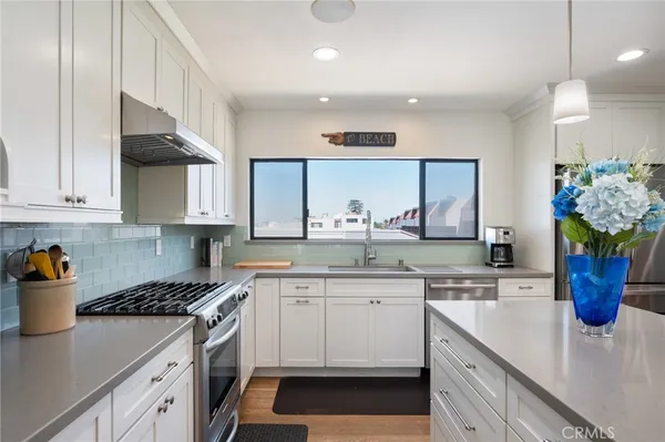 a kitchen with a potted plant on the counter and cabinets