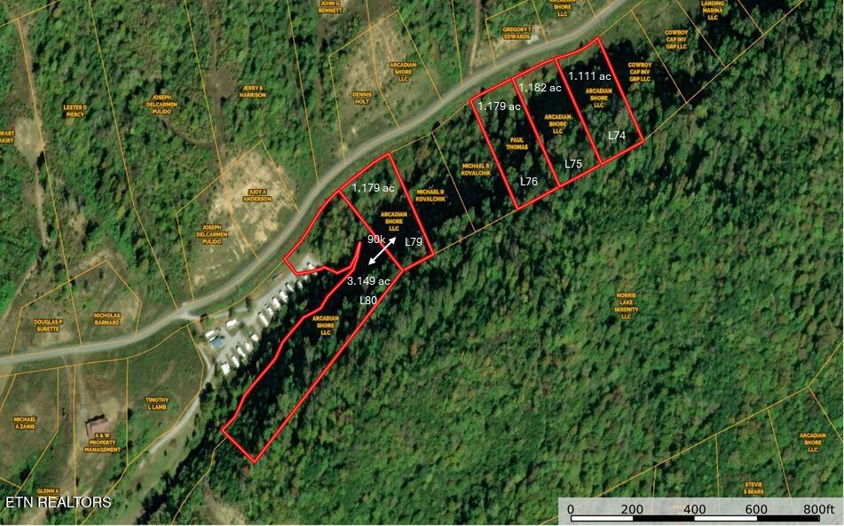 Norris Landing Lots 74 75 76 79 80 w Not