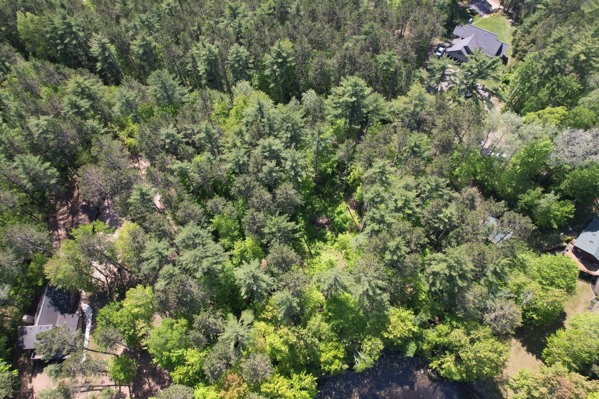95-acrs Deer Lake Road Tomahawk, WI 54487 - Photo 17 of 17 Gallery Image 17