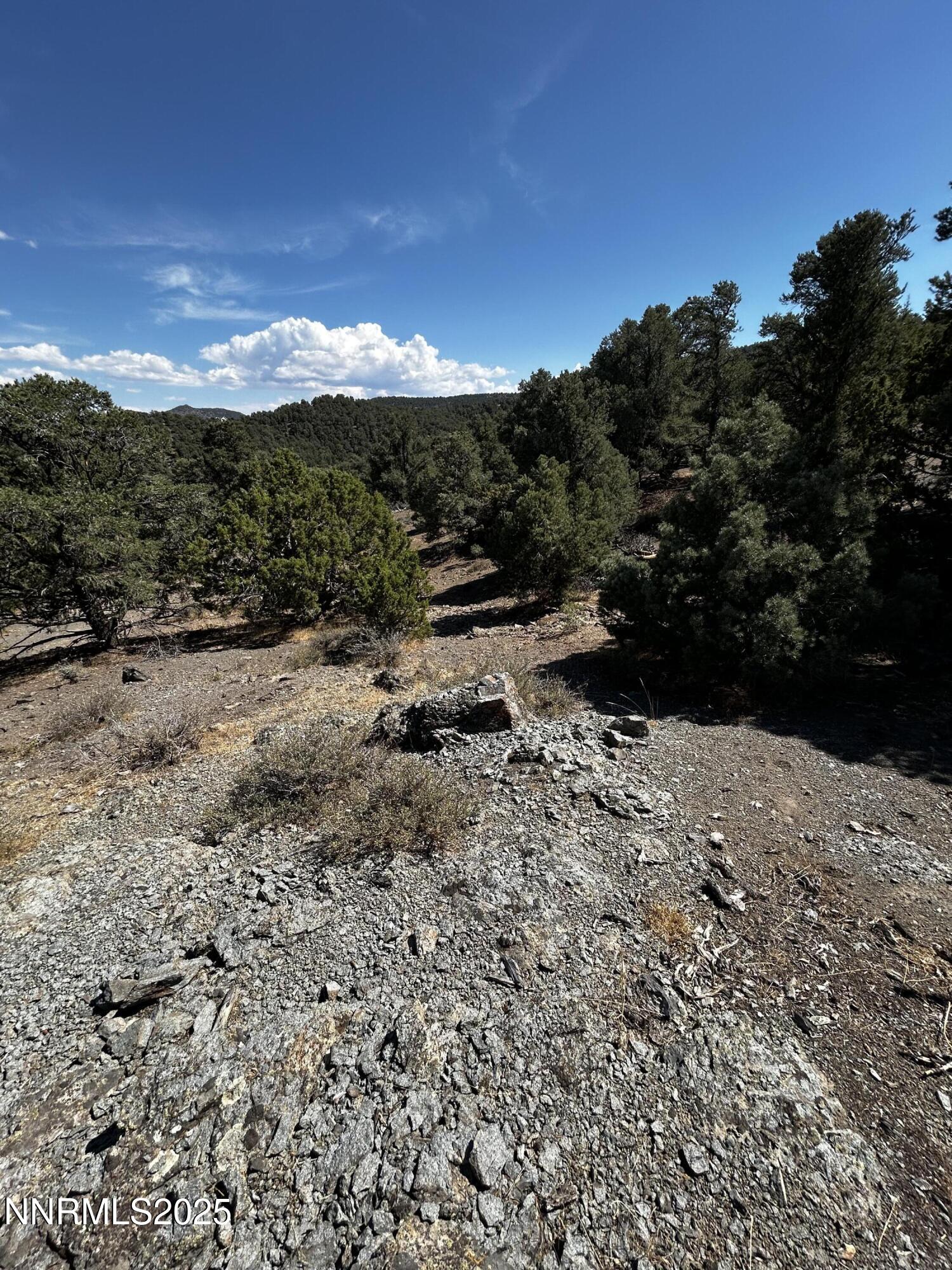 2035 Silverado Road, Unit 187 Reno, NV 89521 - Photo 3 of 9 a view of a yard with mountain view