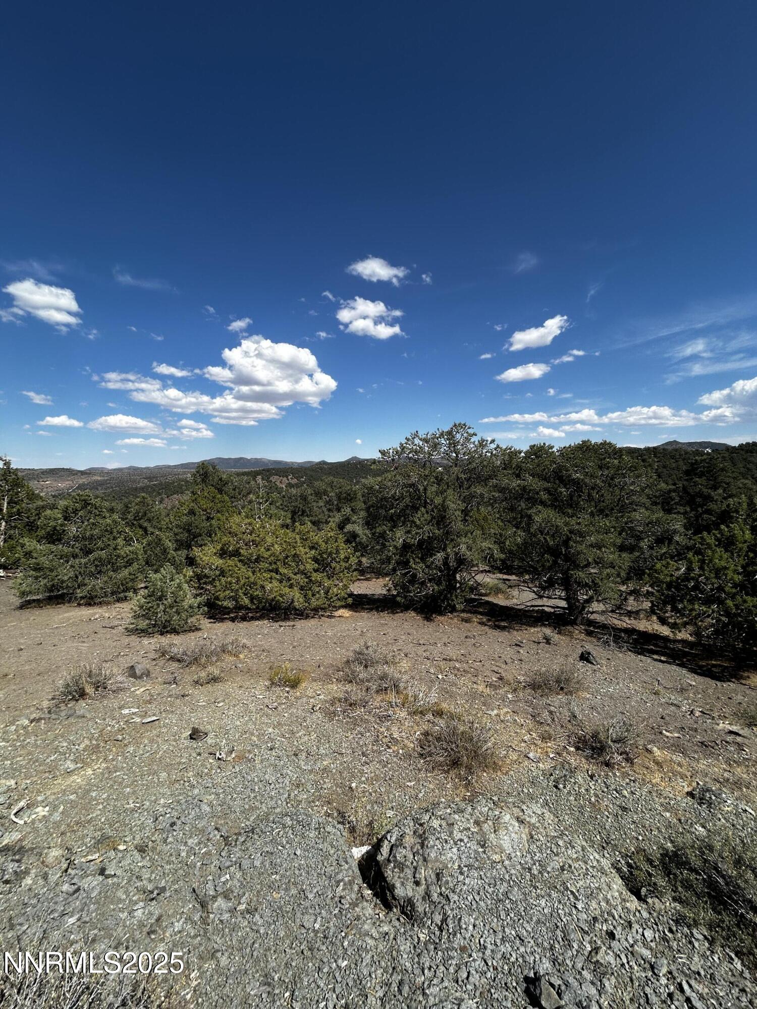 2035 Silverado Road, Unit 187 Reno, NV 89521 - Photo 4 of 9