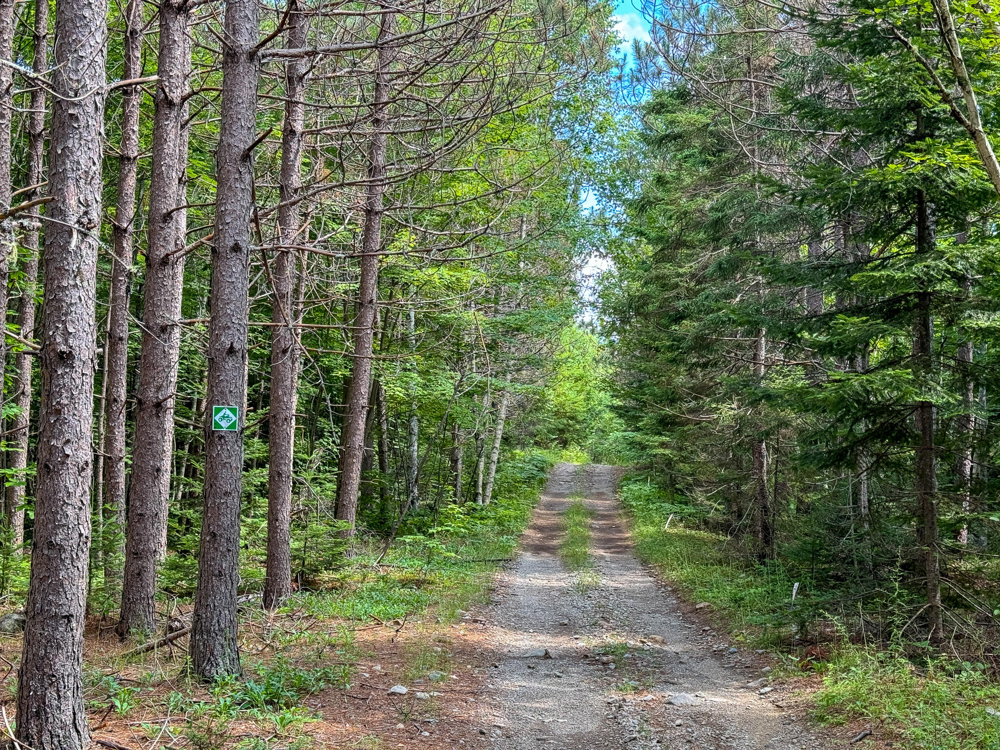 M2-l1 M2-l1 Off Bear Hollow Road Robbinston, ME 04671 - Photo 14 of 15 IMG_9824