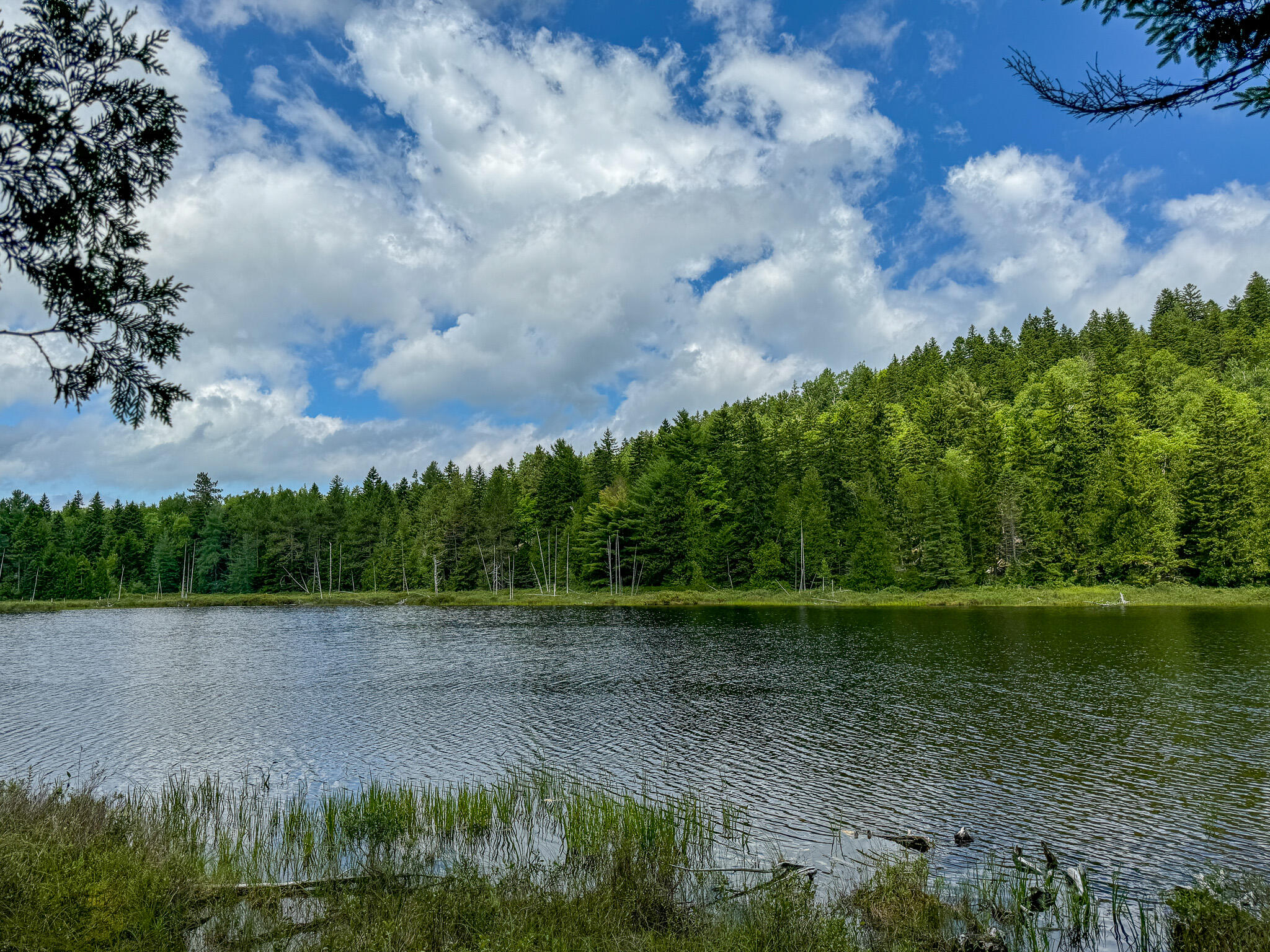M2-l1 M2-l1 Off Bear Hollow Road Robbinston, ME 04671 - Photo 2 of 15 2