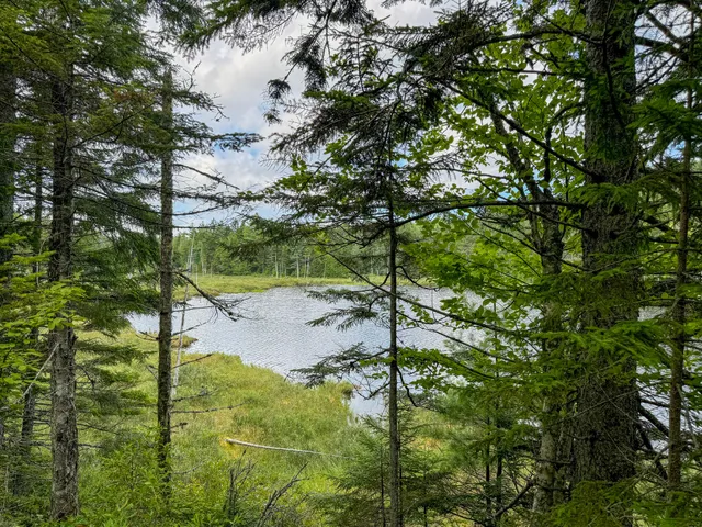 $275,000 | M2-l1 M2-l1 Off Bear Hollow Road, Robbinston, ME 04671