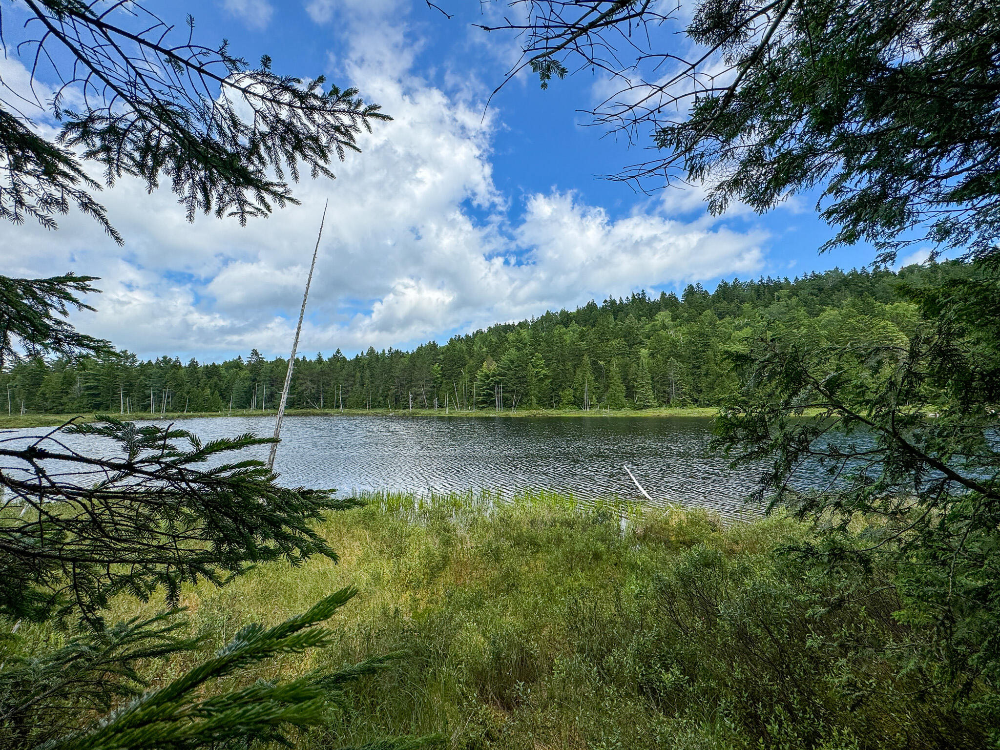 M2-l1 M2-l1 Off Bear Hollow Road Robbinston, ME 04671 - Photo 4 of 15 4