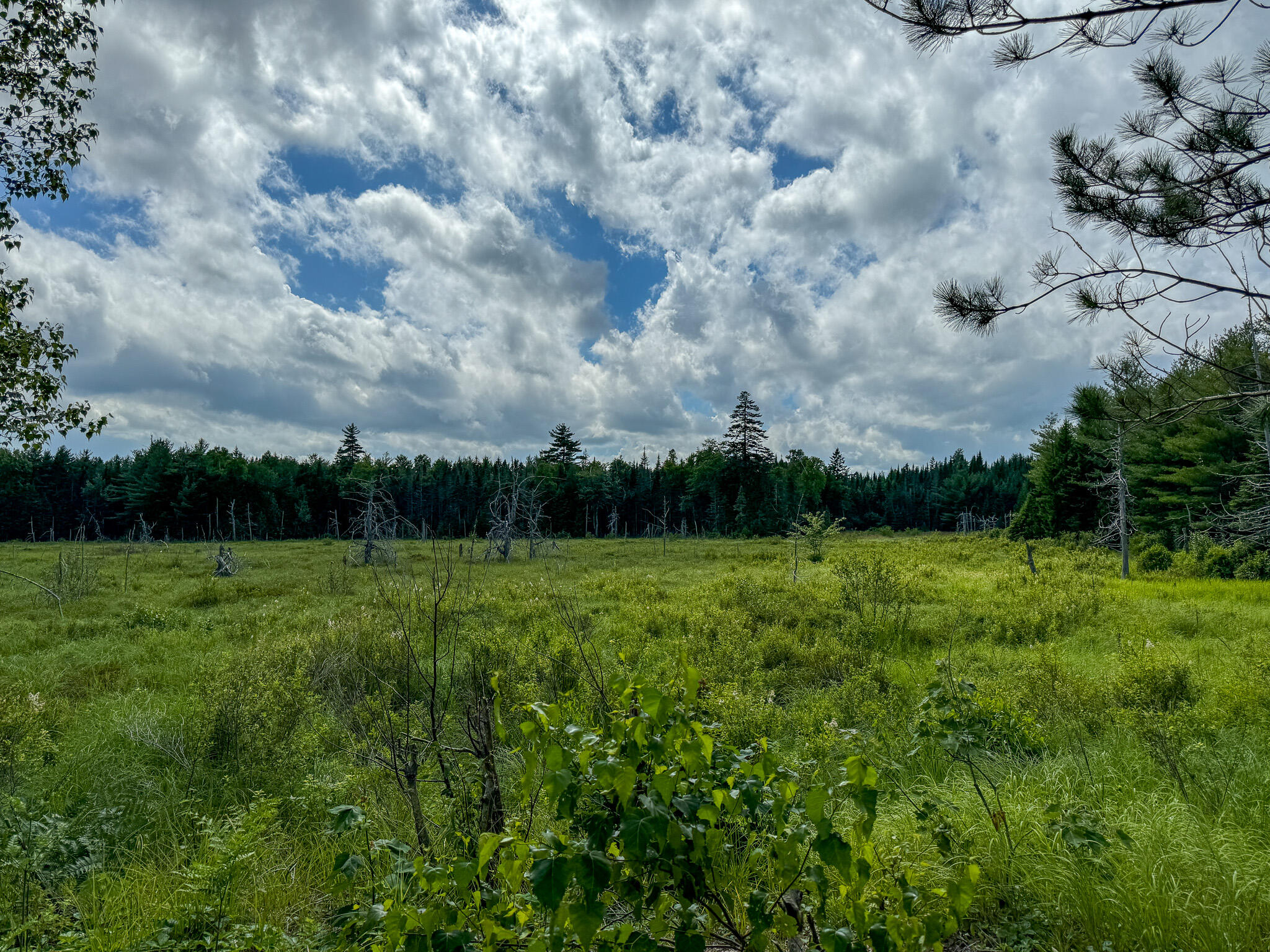 M2-l1 M2-l1 Off Bear Hollow Road Robbinston, ME 04671 - Photo 7 of 15 7