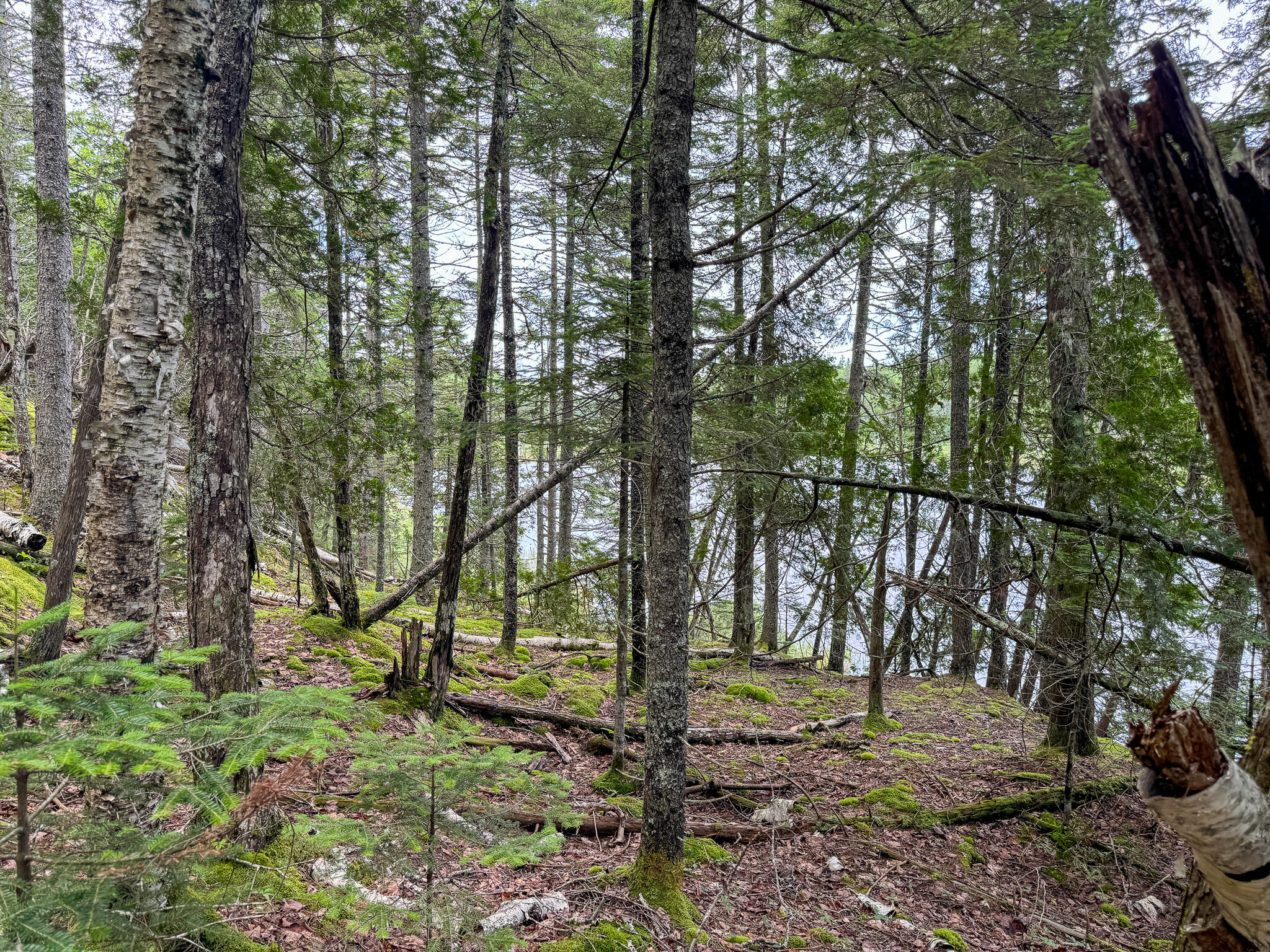 M2-l1 M2-l1 Off Bear Hollow Road Robbinston, ME 04671 - Photo 8 of 15 8