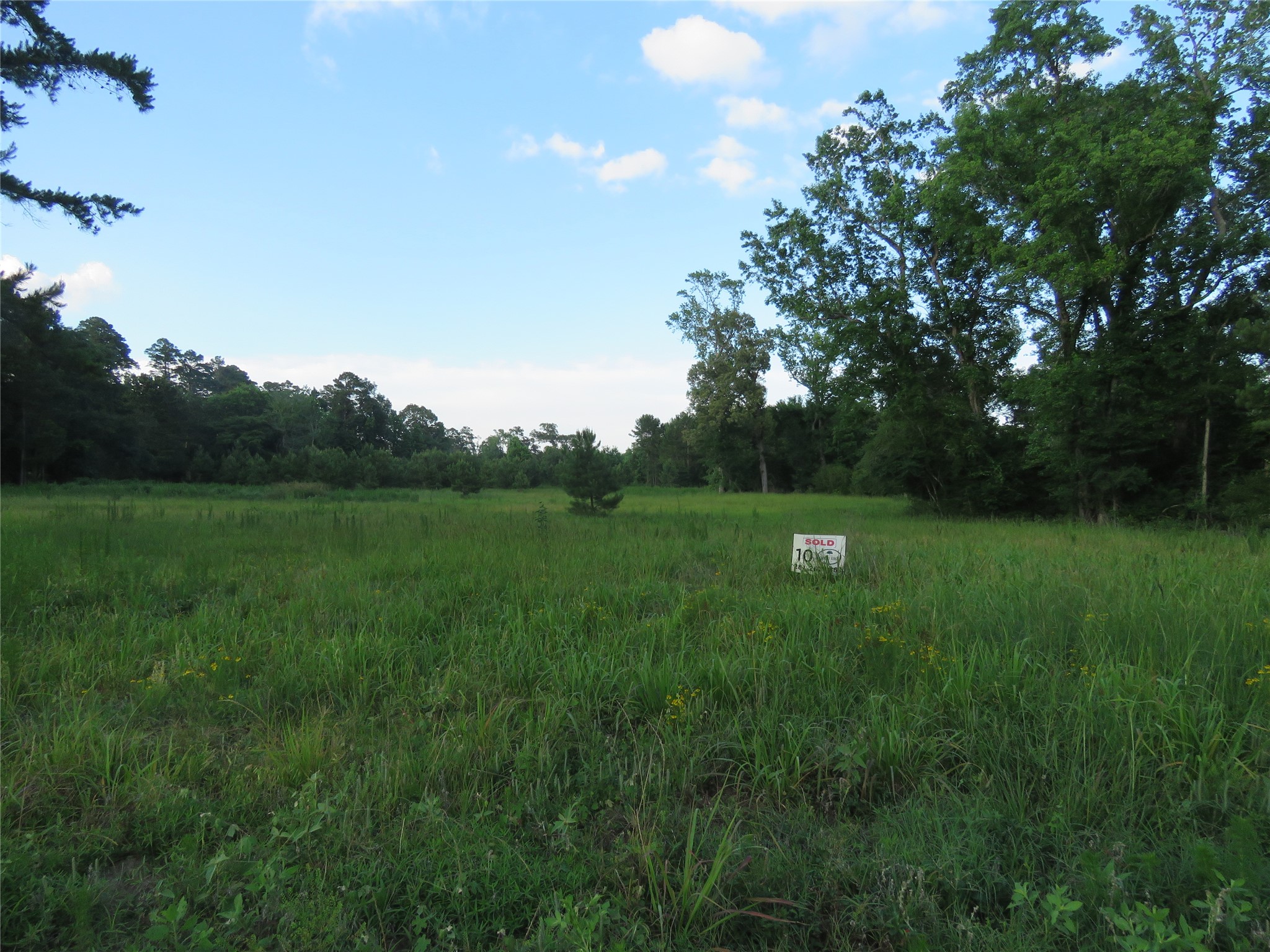 Tbd Tbd Canopy Ridge Trail Crockett, TX 75835 - Photo 7 of 15 Tract 10 showing the natural clearing and mature tree line