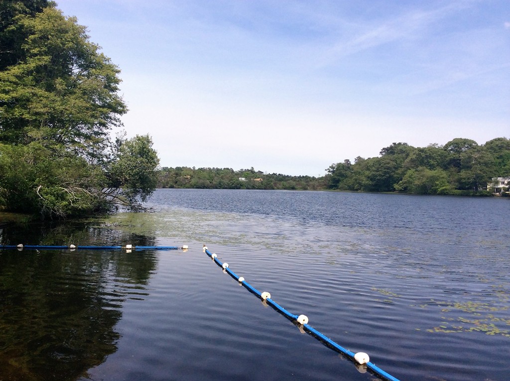 28 Ames Island Road Wareham, MA 02571 - Photo 10 of 30 Gallery Image 10