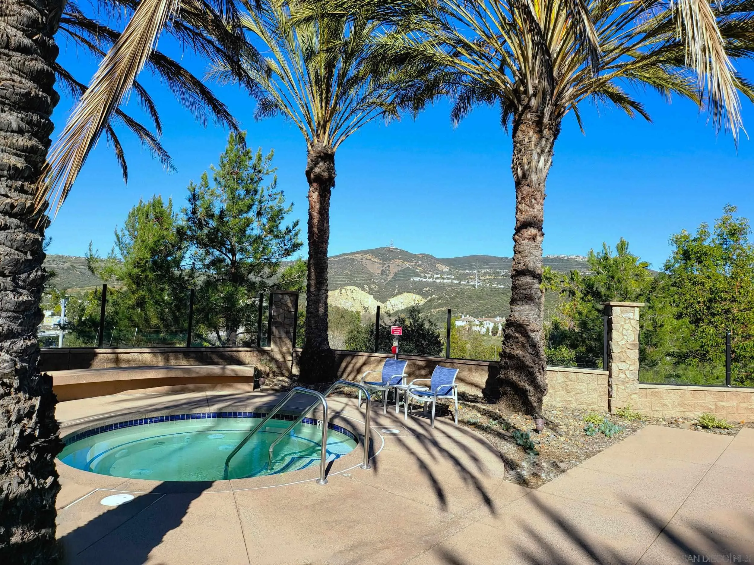 2152 Cosmo Way San Marcos, CA 92078 - Photo 26 of 28 a view of a palm tree with dinning table and chairs under an umbrella