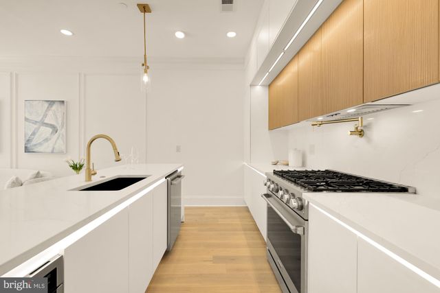 a kitchen with a stove and a potted plant