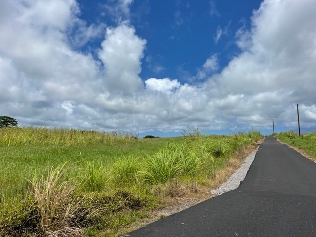 Lot A Akolea Road Hilo, HI 96720 - Photo 3 of 5 a view of a yard