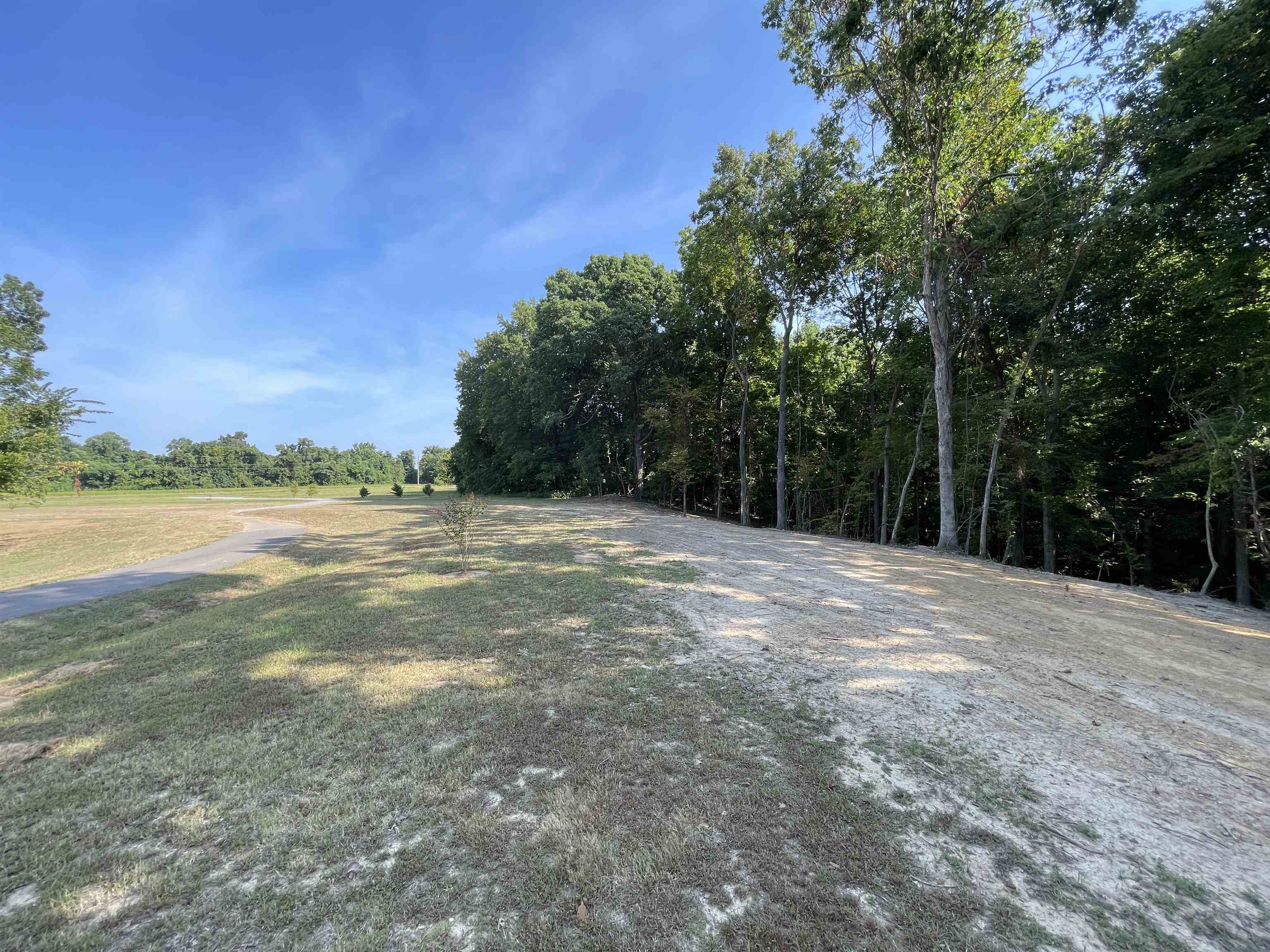 16691 Highway 59 Drummonds, TN 38023 - Photo 37 of 40 a view of a field with an ocean view