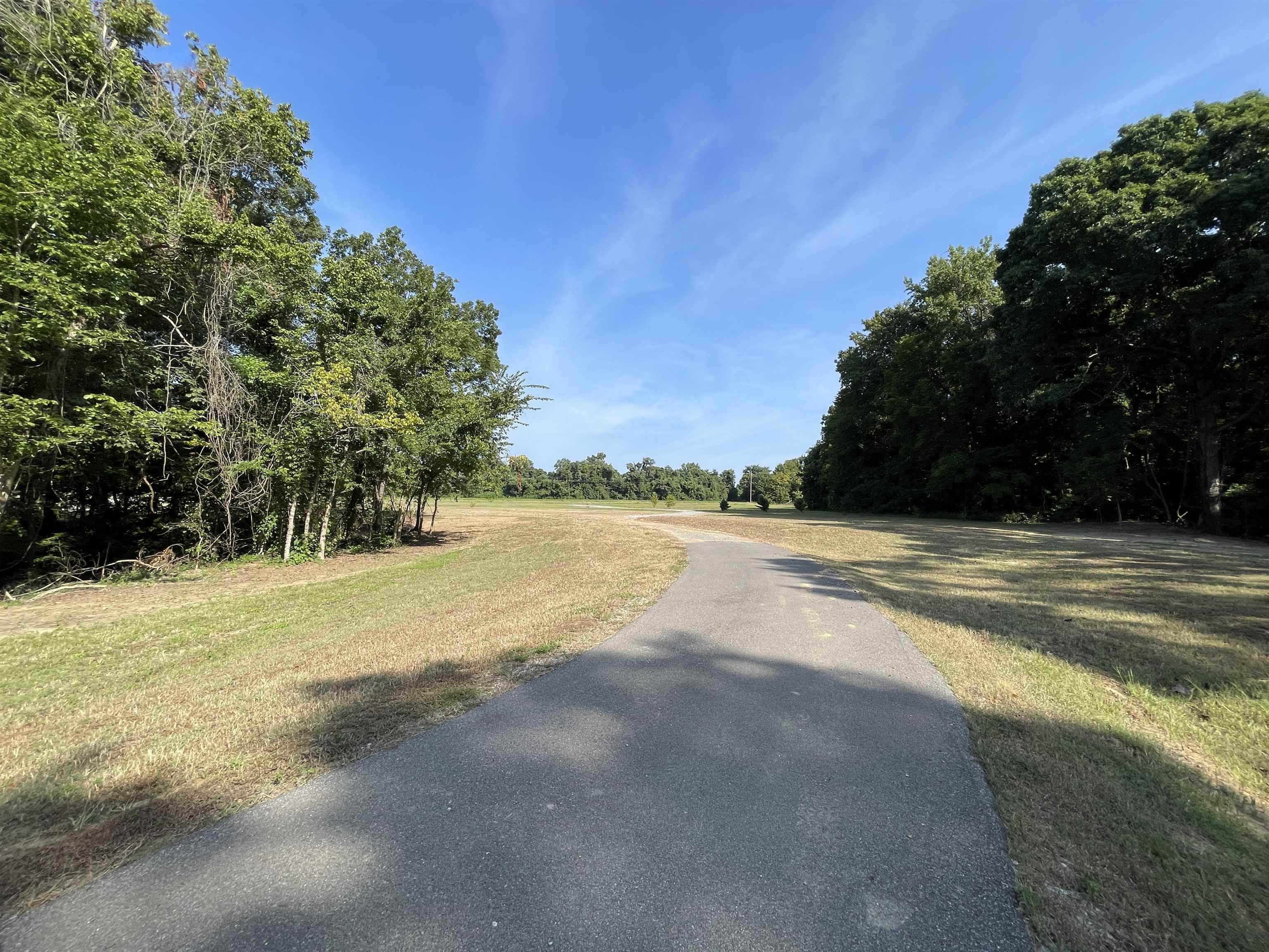 16691 Highway 59 Drummonds, TN 38023 - Photo 38 of 40 a view of an ocean and a yard