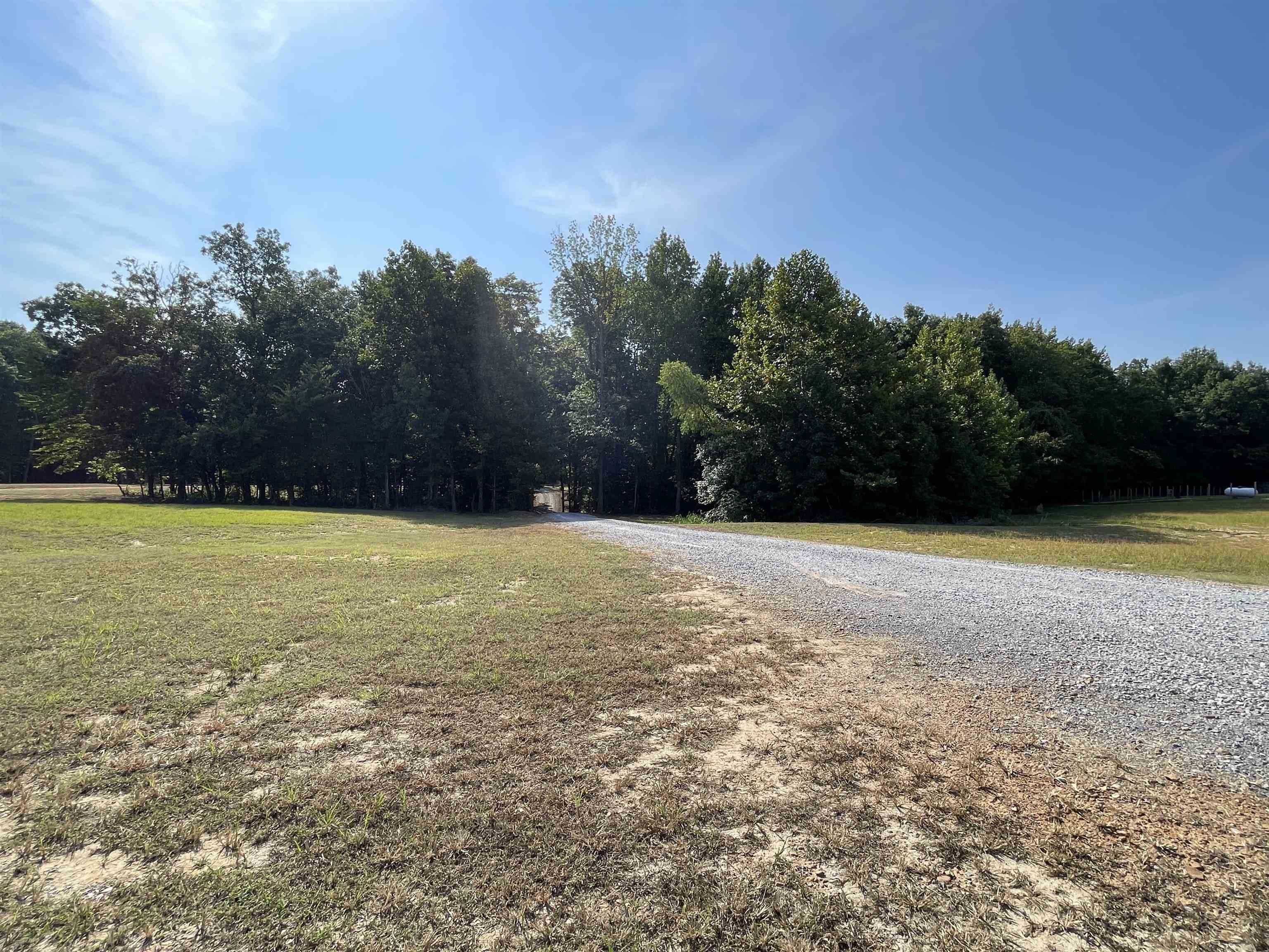 16691 Highway 59 Drummonds, TN 38023 - Photo 39 of 40 a view of outdoor space with swimming pool and trees in the background