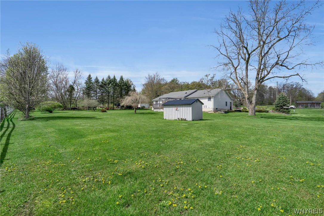 10259 Warner Gulf Road Sardinia, NY 14080 - Photo 24 of 29 BACKYARD