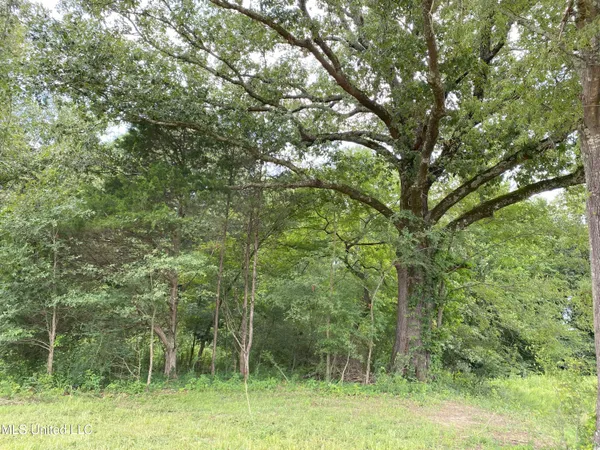 $299,000 | 10 1/2 Acres Smith, Coldwater, MS 38618