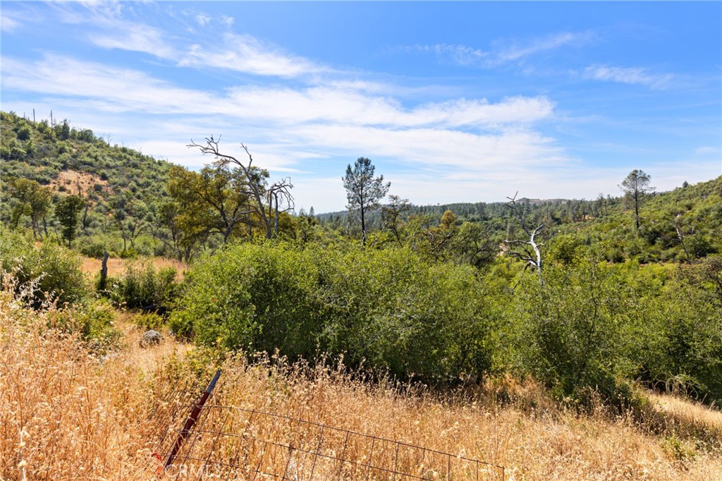 175 Stoney Oaks Loop Bangor, CA 95914 - Photo 29 of 38