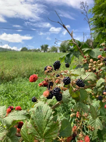 $550,000 | 26 Carter Road, Johnson, VT 05656