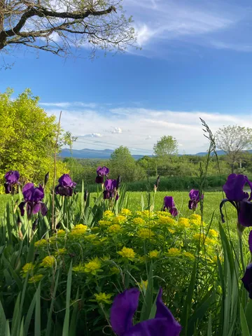 $550,000 | 26 Carter Road, Johnson, VT 05656