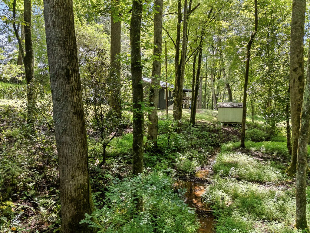 123 Quarry Road Andrews, NC 28901 - Photo 53 of 55
