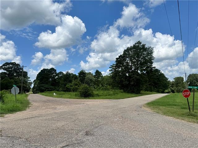 72045 South Lewiston Road Kentwood, LA 70444 - Photo 11 of 17