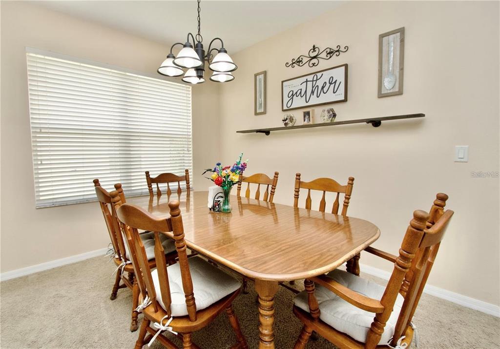 12518 White Bluff Road Hudson, FL 34669 - Photo 13 of 23