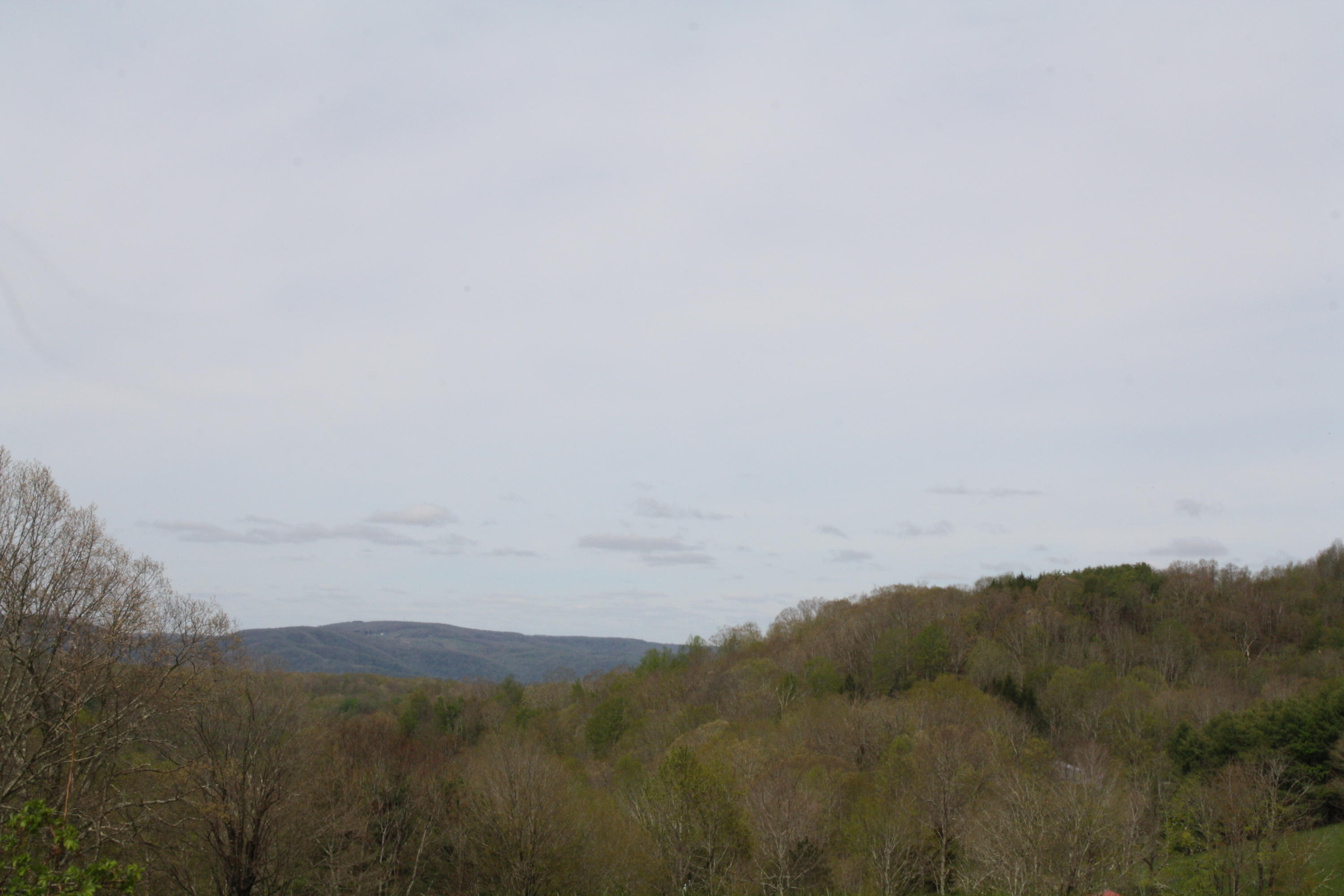 1161 Plumley Mountain Road Sandstone, WV 25985 - Photo 7 of 138 Gallery Image 7