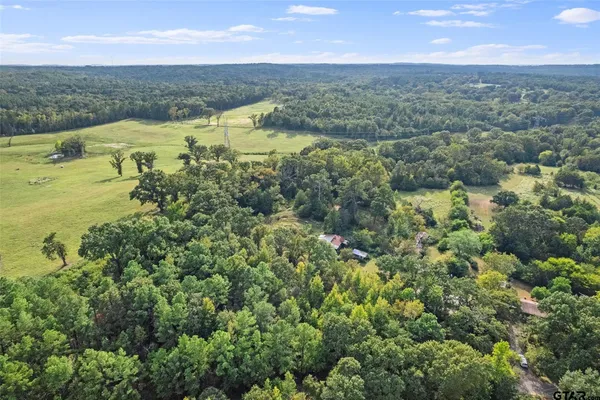 $480,000 | 2605 County Road 4923, Ben Wheeler, TX 75754
