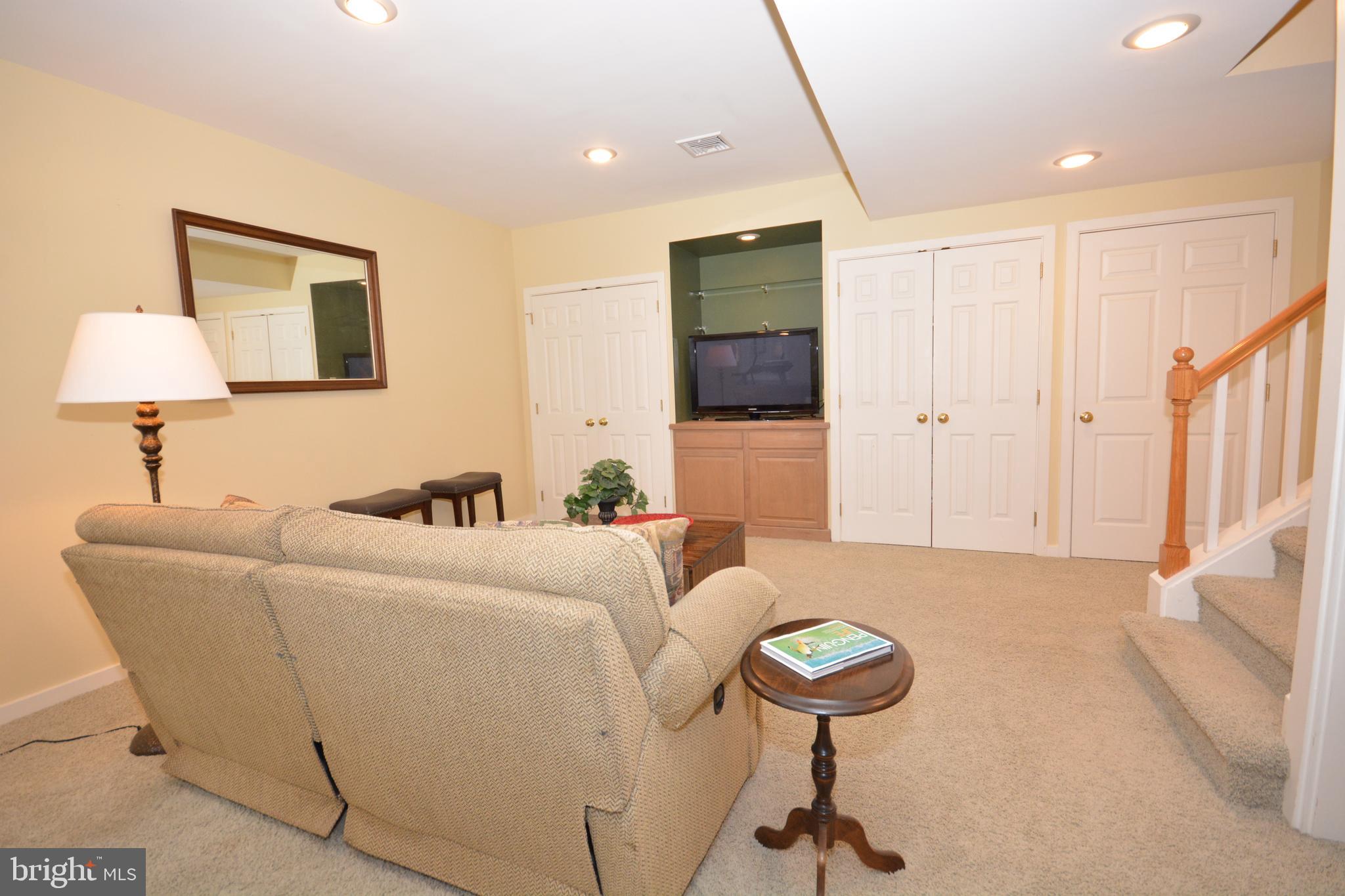 1101 Central Manor Road Lancaster, PA 17603 - Photo 39 of 64 LL1 Family Room w/ Closets
