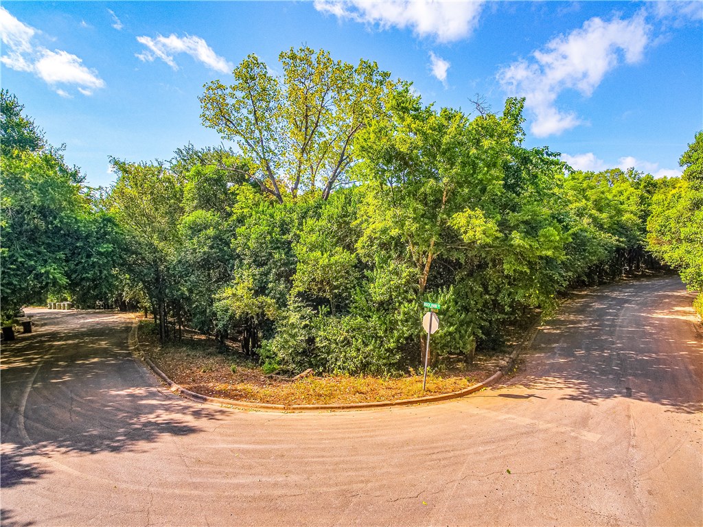 a view of a yard