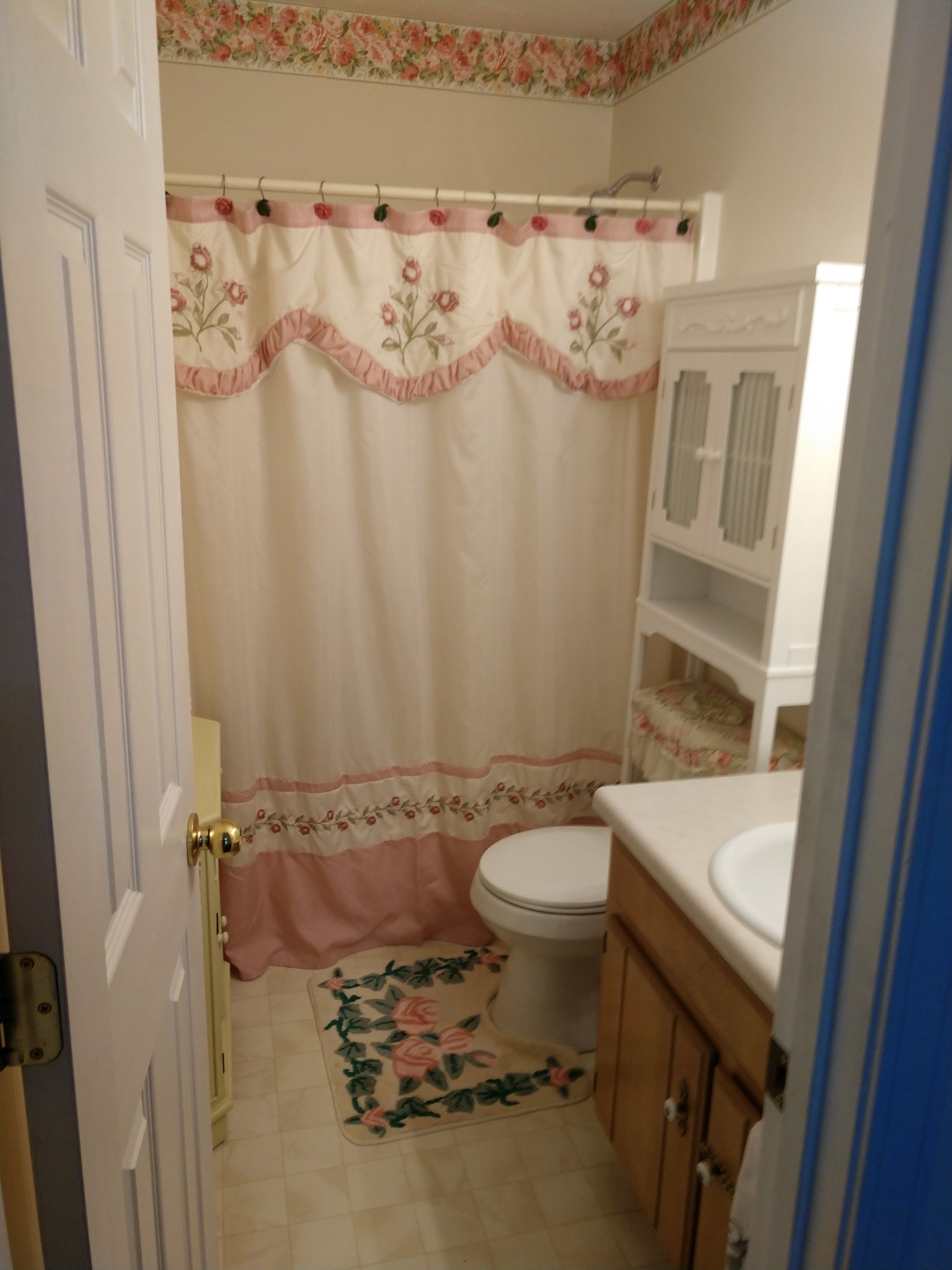 1511 Ridgemont Drive La Vergne, TN 37086 - Photo 17 of 18 a bathroom with a sink and toilet