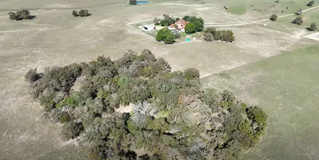 a view of a flowers in a bathroom