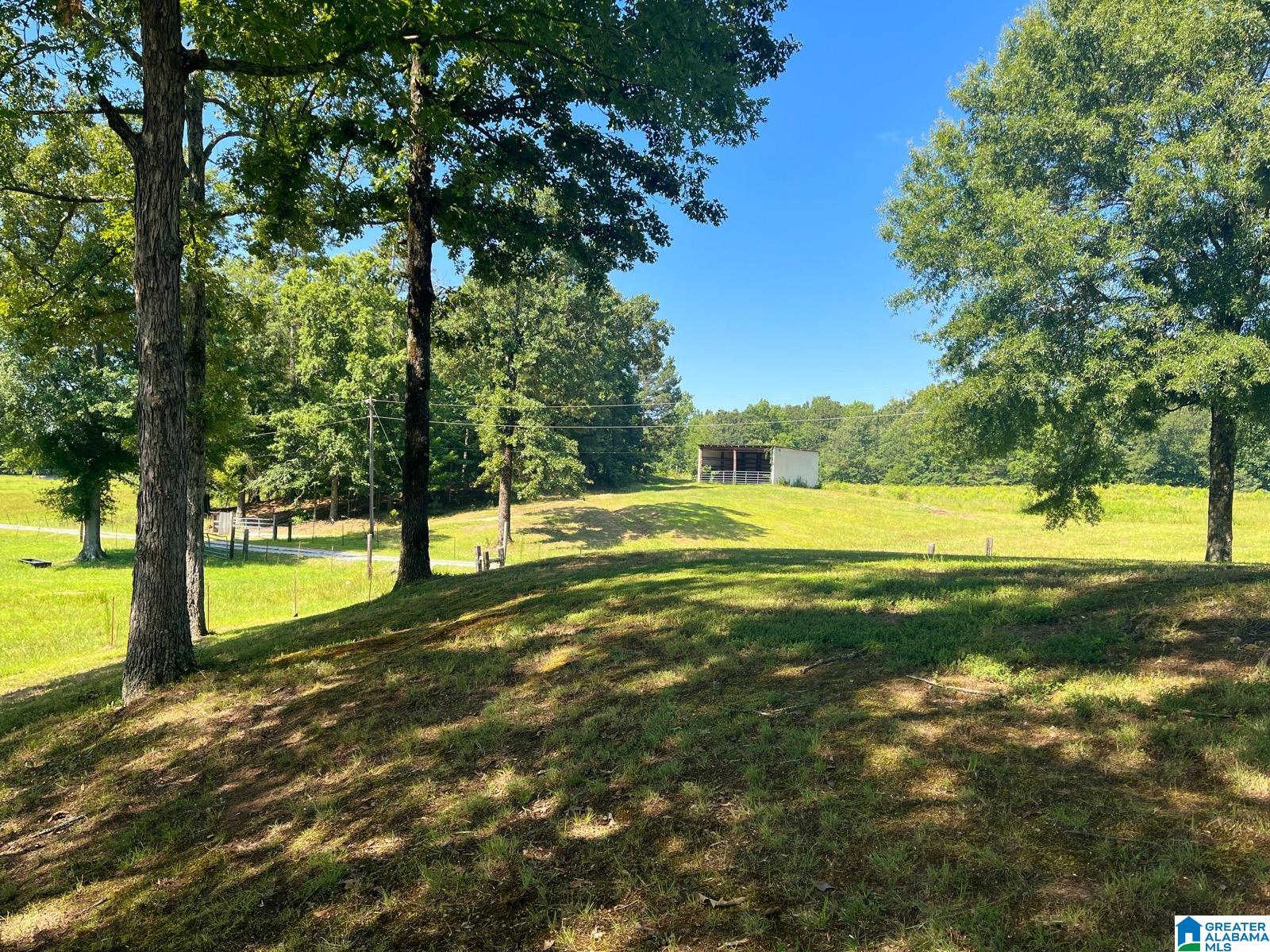2081 Ross Lake Road Wellington, AL 36279 - Photo 38 of 42 Gallery Image 38