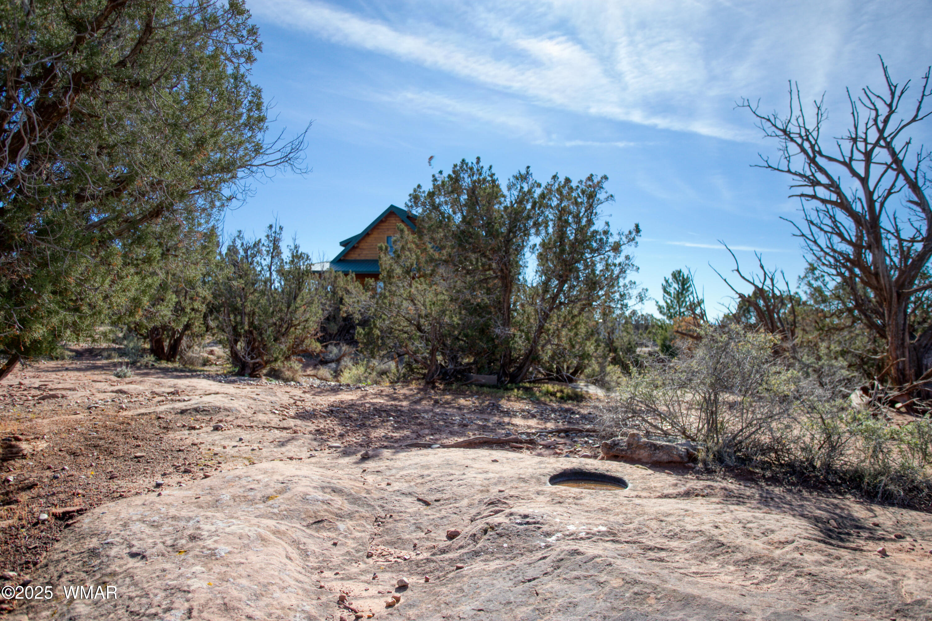 8555 Reata Lane Snowflake, AZ 85937 - Photo 50 of 88 a view of a yard with a tree in the background