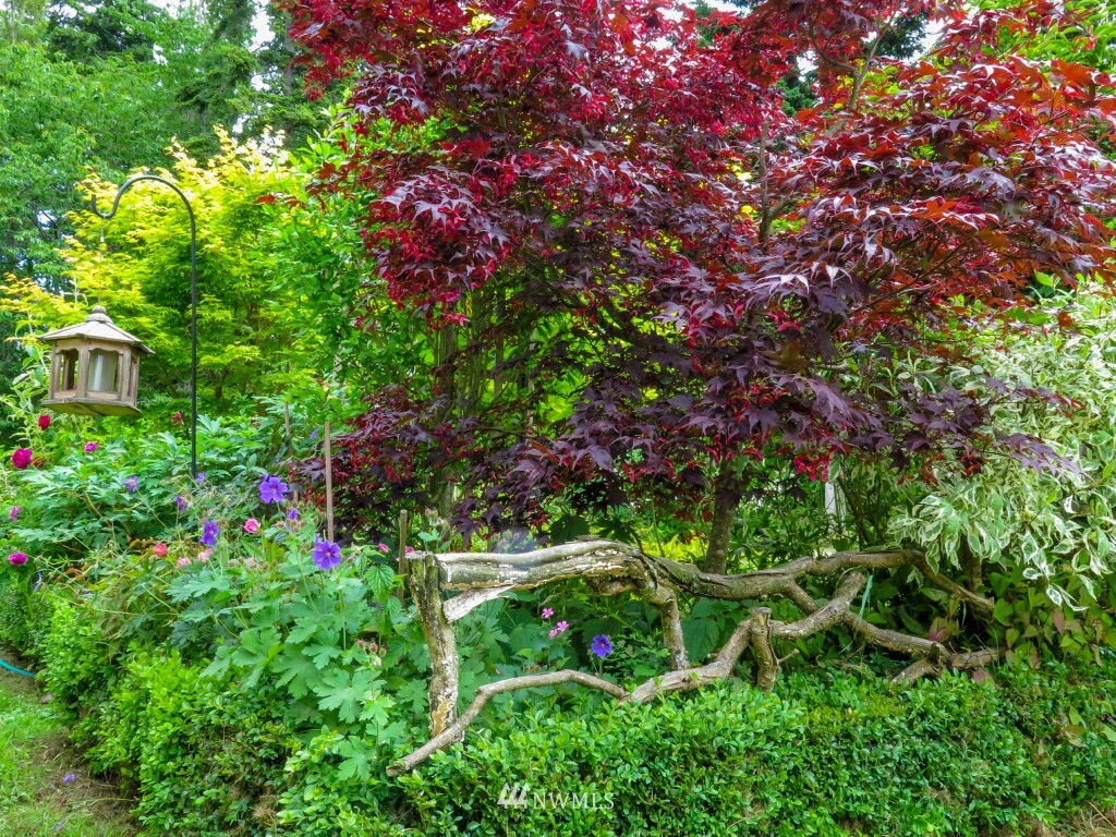 969 Rowe Road Camano Island, WA 98282 - Photo 12 of 25 Gallery Image 12