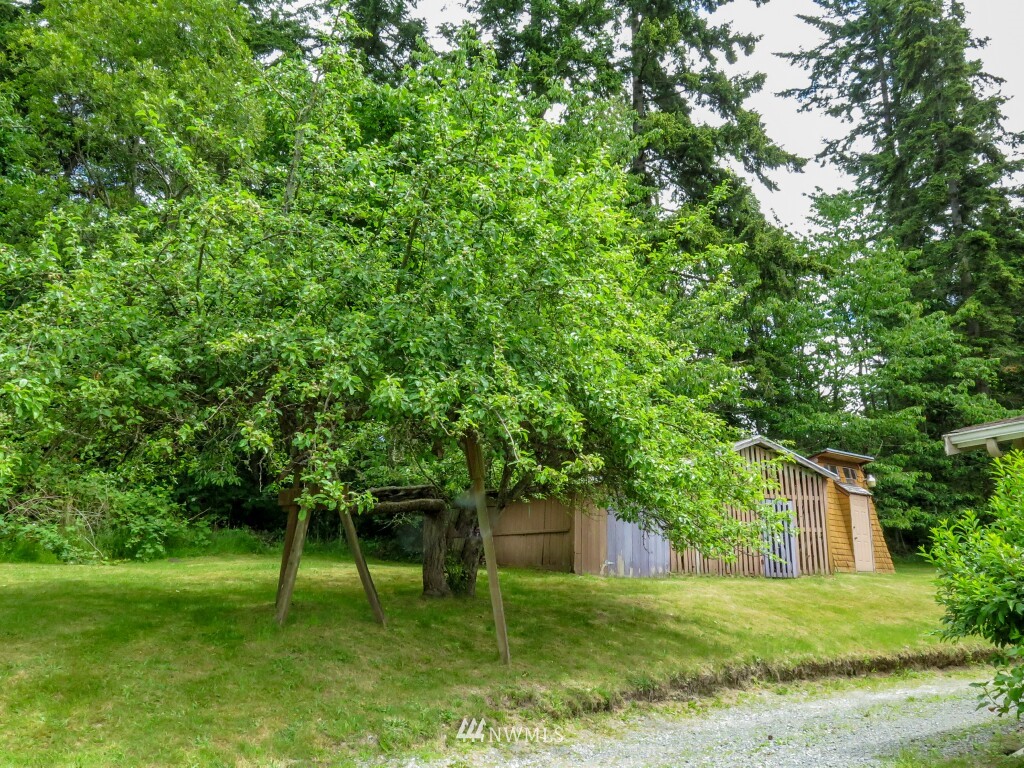 969 Rowe Road Camano Island, WA 98282 - Photo 23 of 25 Gallery Image 23