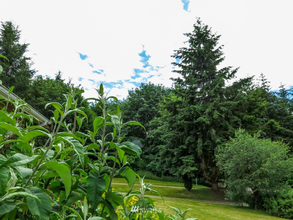 969 Rowe Road Camano Island, WA 98282 - Photo 25 of 25 Gallery Image 25