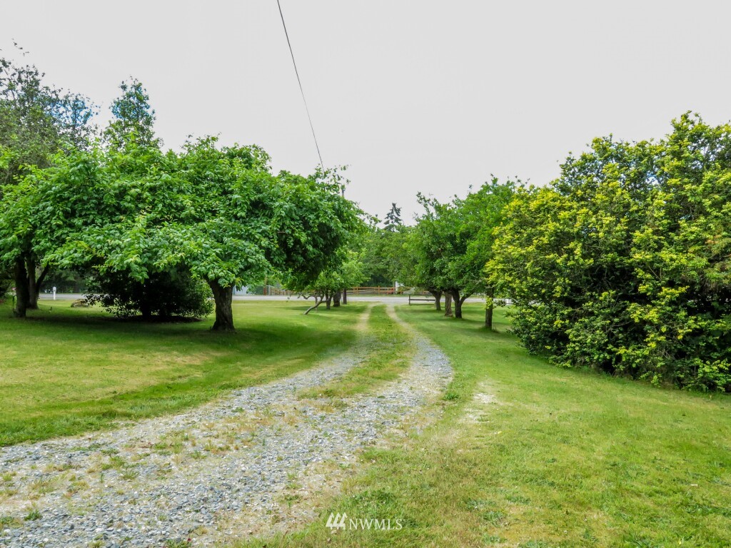 969 Rowe Road Camano Island, WA 98282 - Photo 7 of 25 Gallery Image 7