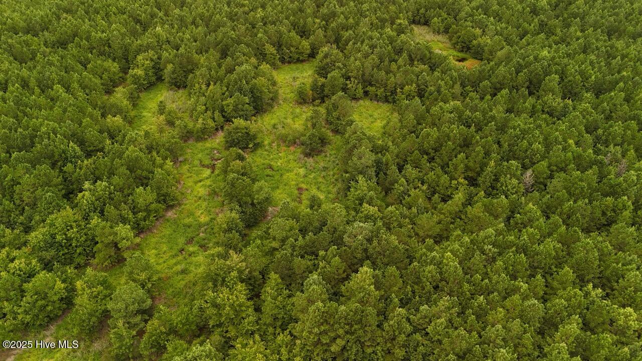 Off Oriental Road Oriental, NC 28571 - Photo 11 of 29 DJI_20250812142934_0459_D Large